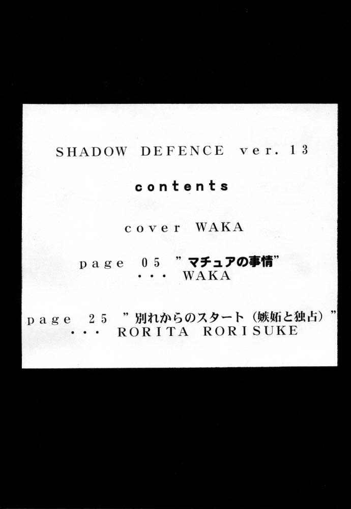 [TAIL OF NEARLY] Shadow Defense 13 (Cowboy Bebop, King of Fighters) 