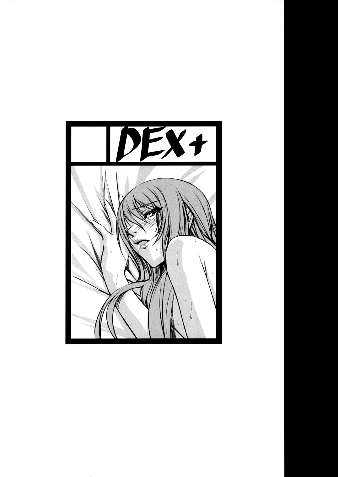 [DEX+] P3lover (Persona 3)[English][Rabbit Reich] 