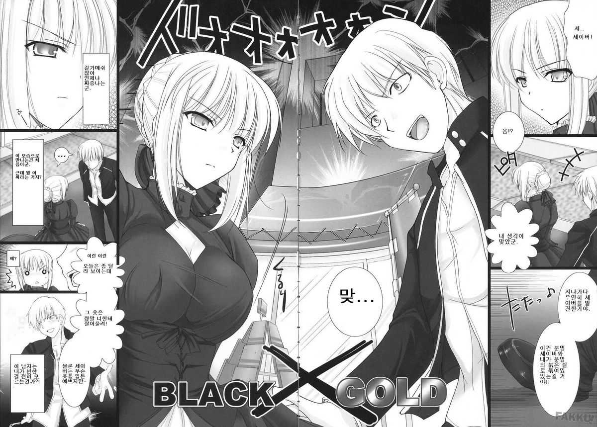 (C72) [UDON-YA (Kizuki Aruchu)] BLACKxGOLD (Fate/hollow ataraxia) (Korean) -Uncensored- 