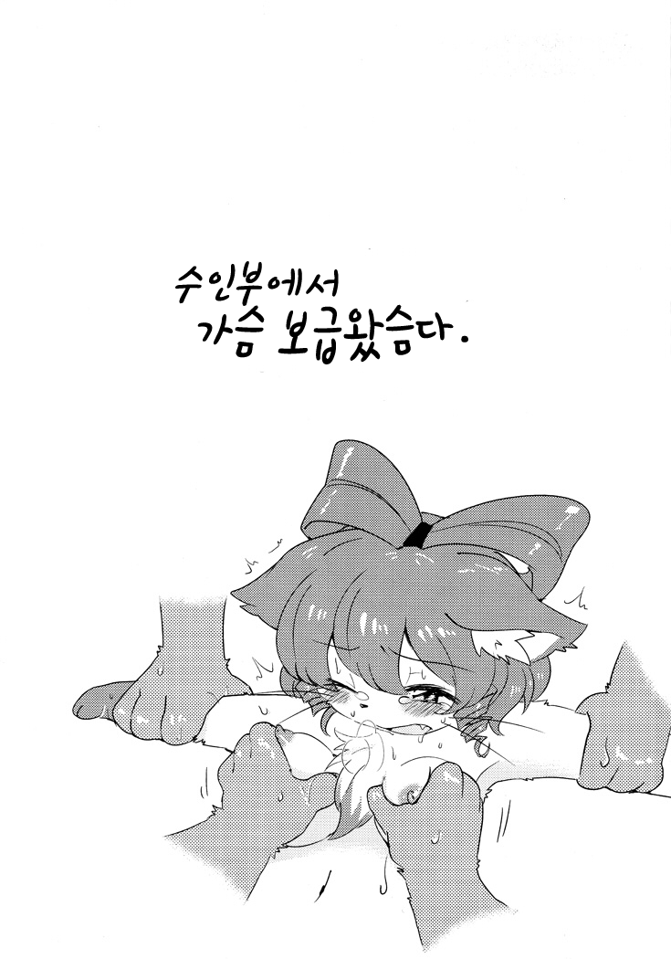 (Fur-st 4) [Colomonyu (Eromame)] Neko kan (Touhou Project) [Korean] (ふぁーすと4) [ころもにゅ (えろ豆)] ねこ姦 (東方Project) [韓国翻訳]