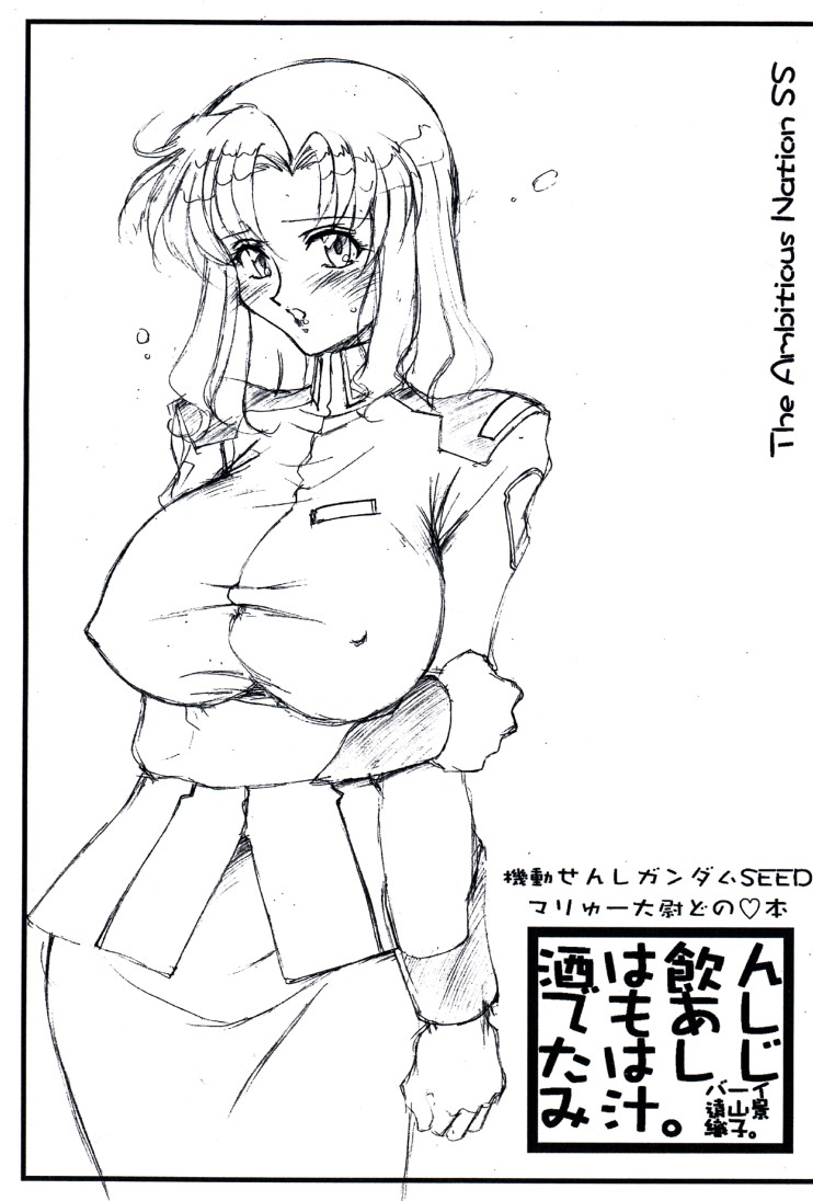 [LUCK&amp;PLUCK!] Sake wa Nonde mo Ashita wa Shijimijiru (Kidou Senshi Gundam SEED) 