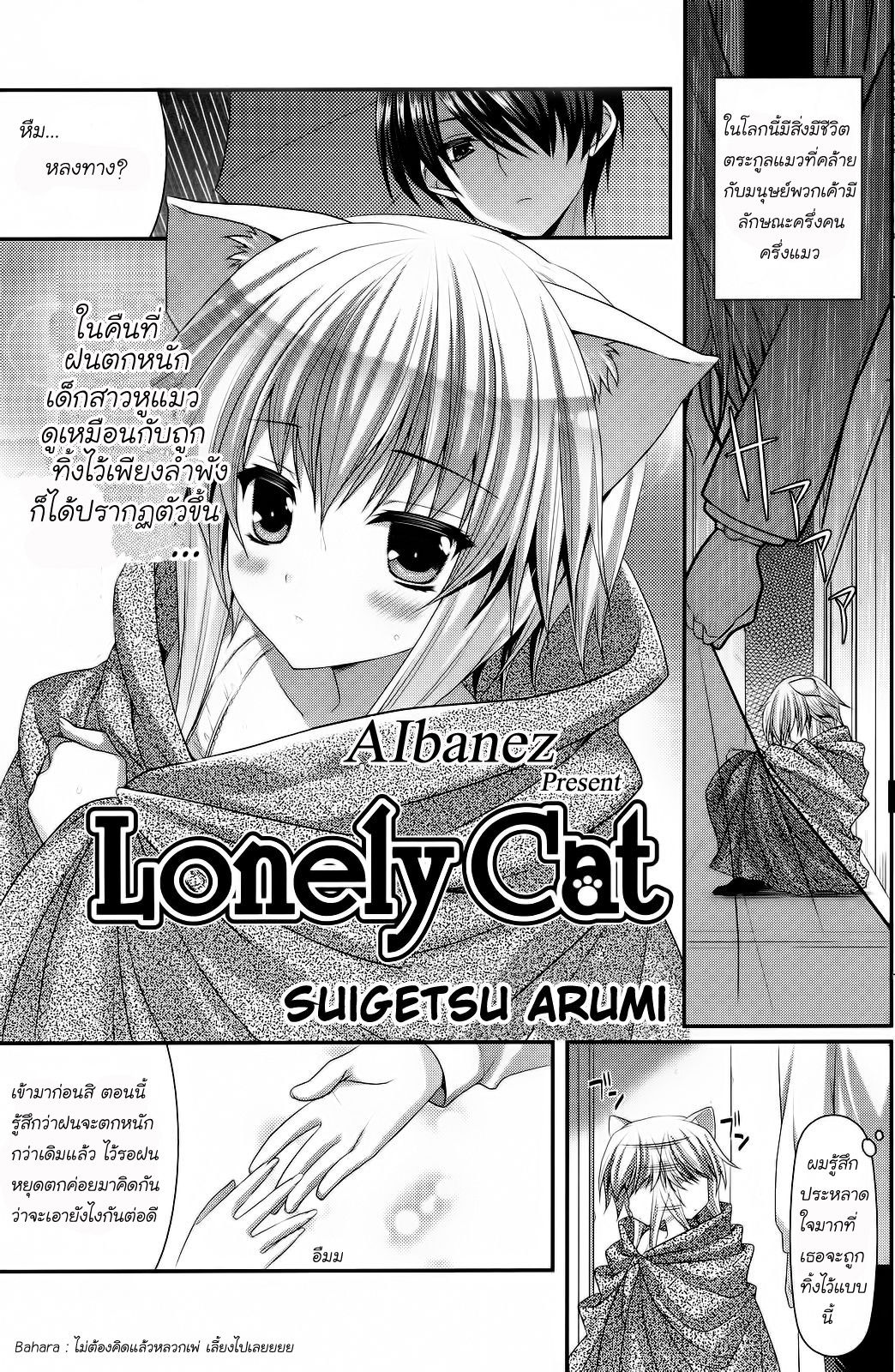 [Minatsuki Alumi] Lonely Cat (COMIC Potpourri Club 2012-12) [Thai ภาษาไทย] {Aibanez&Bahara} [水月あるみ] Lonely Cat (コミックポプリクラブ 2012年12月号) [タイ翻訳]