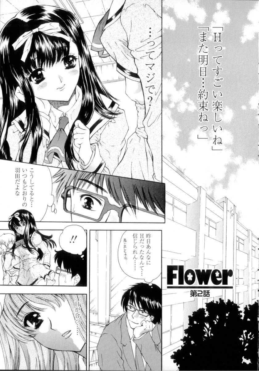 [Shimao Kazu] Flower 